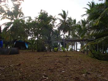 Vue du terrain de 2.5 has de Bocas del Toro, Panama